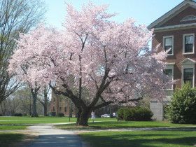 Phillips Academy Andover
