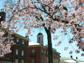 Phillips Academy Andover