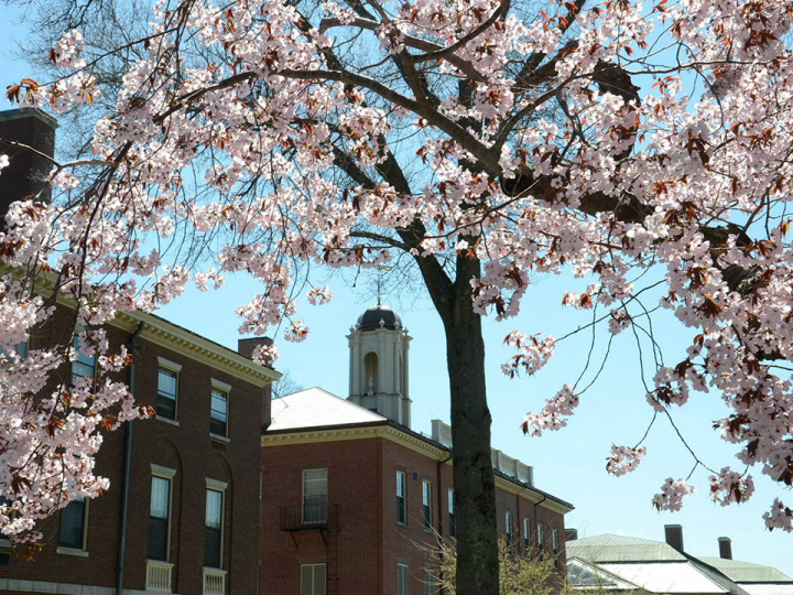 Phillips Academy Andover