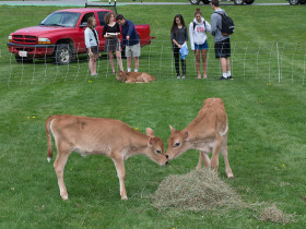 В Northfield Mount Hermon School