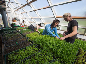 В Northfield Mount Hermon School