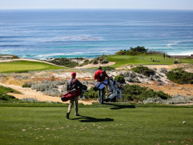 Спорт в Stevenson School