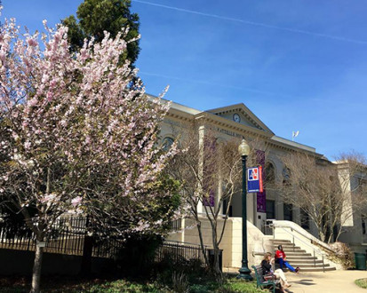 American University