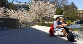 Студенты American University