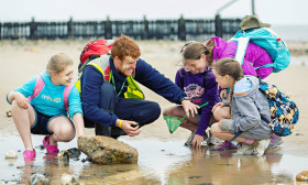 Занятия в Kingswood Isle of Wight 