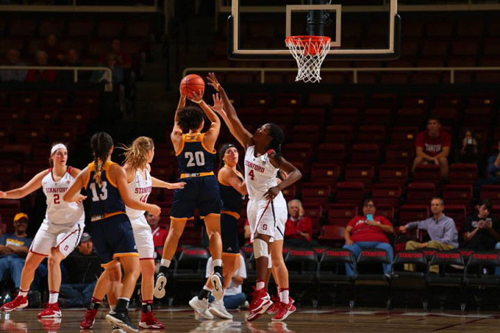 Спортивный лагерь при при Stanford University