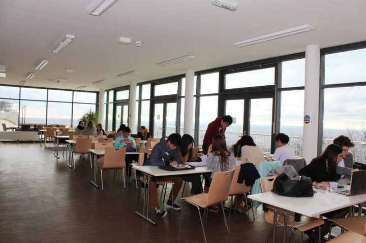 Занятия в MODUL University Vienna