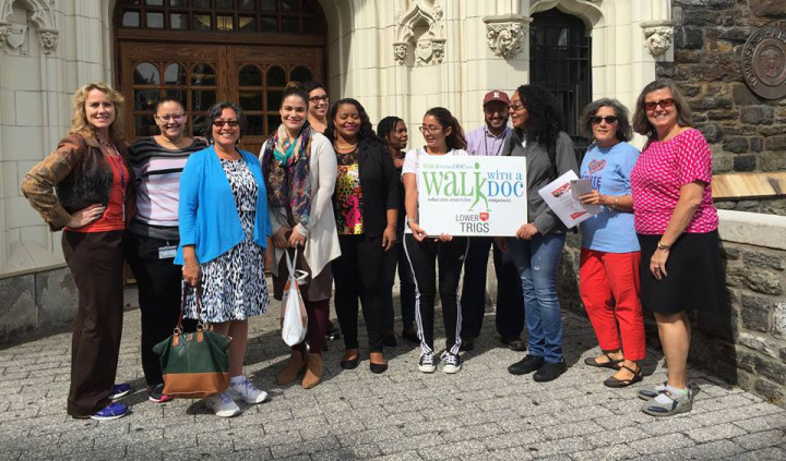 Социальные проекты в City College of New York