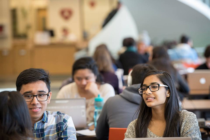 Подготовительные курсы в Adelphi University