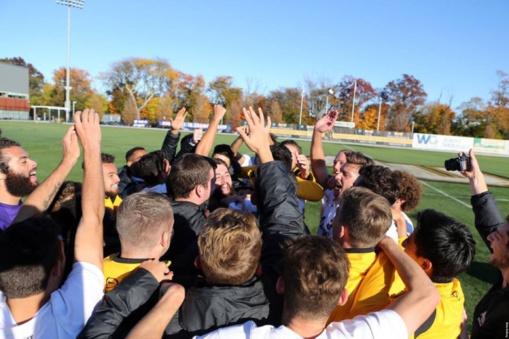 В Adelphi University