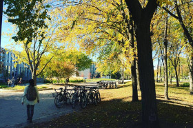 University of Manitoba