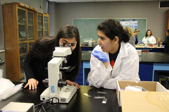 Занятия в University of Windsor