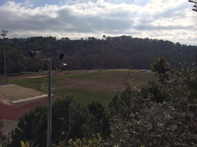 Спортивные площадки