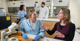 Обучение в University of New Brunswick