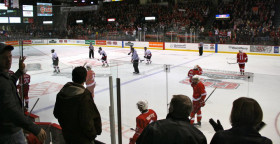 Спорт в University of New Brunswick