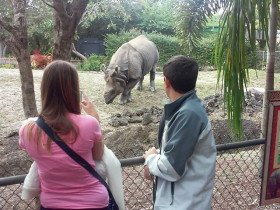 Студенты TALK Miami Beach на экскурсии