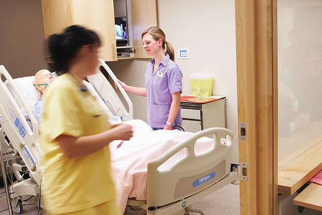 Занятия в George Brown College