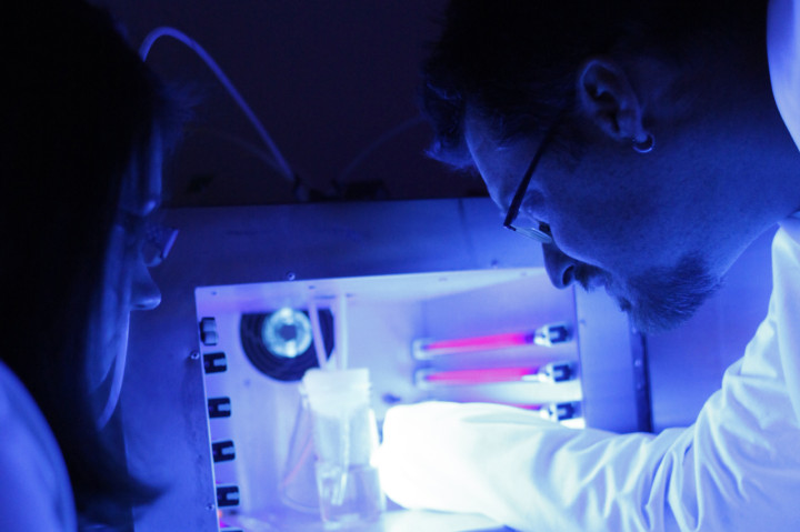 Учеба в Acadia University