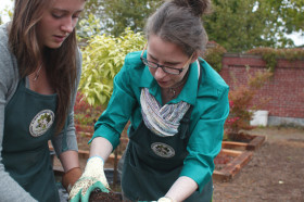 Учеба в Acadia University