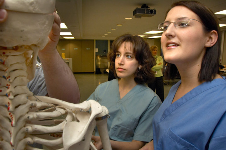 Учеба в Humber College