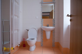 Резиденция U Svobodarny