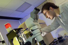 Учеба в Newcastle University