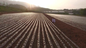 Seoul National University