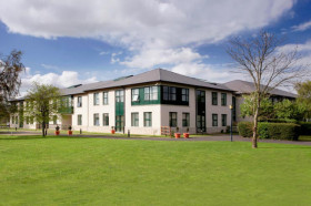 Территория школы