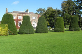 Территория школы