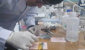 Занятия в Dalian Maritime University