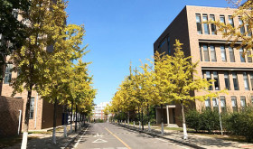 Кампус Dalian Maritime University