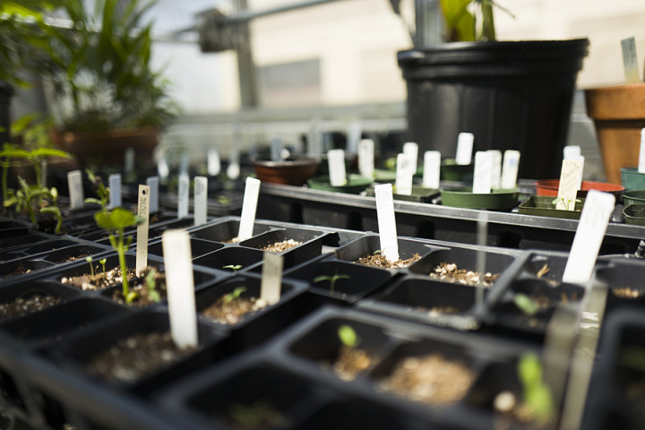 University of Wisconsin