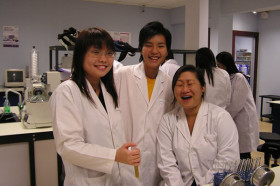 Обучение в MDIS