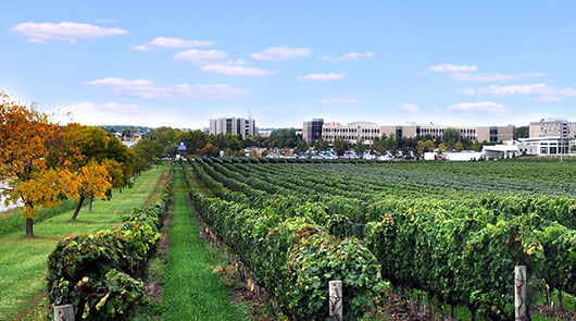 Niagara College Canada