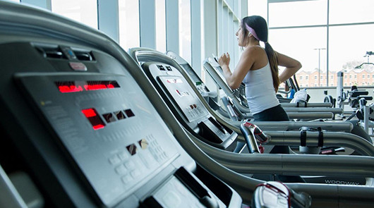 Спорт в Niagara College Canada