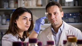 Учеба в McMaster University