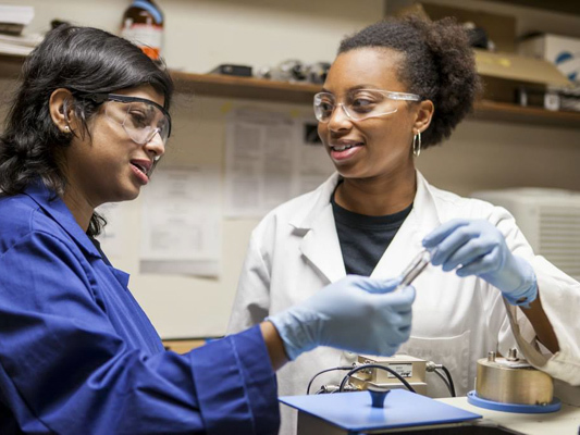 Обучение в Louisiana State University