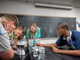 Учеба в Louisiana State University