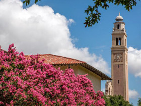 Louisiana State University