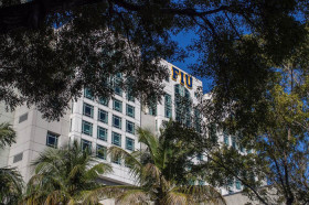 Florida International University