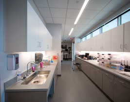 University of Kansas