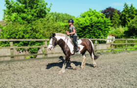 SBC Oxford Summer School