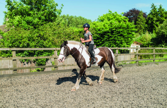 SBC Oxford Summer School