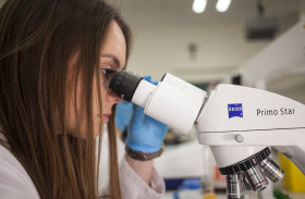 Universidad Católica San Antonio de Murcia