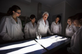 Universidad Católica San Antonio de Murcia