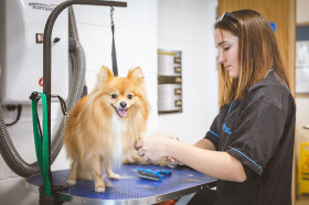 Bucksmore Plumpton College