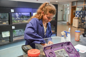 Bucksmore Plumpton College