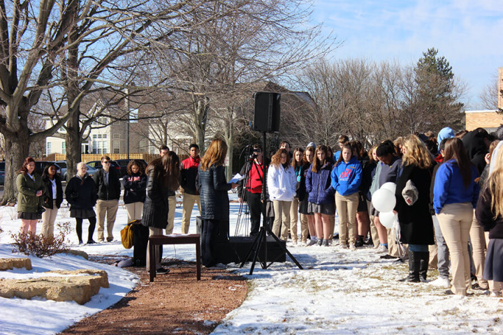 Amerigo Chicago North Shore