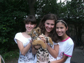 Летняя детская школа Mandarin House в Шанхае