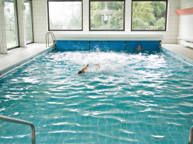 Humboldt-Institut Lindenberg